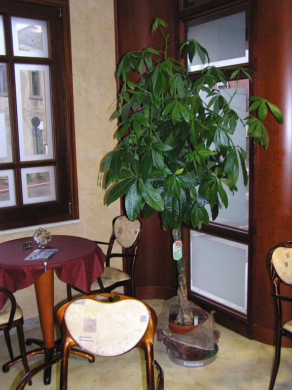 Hotel Mistral Portoscuso Eksteriør billede